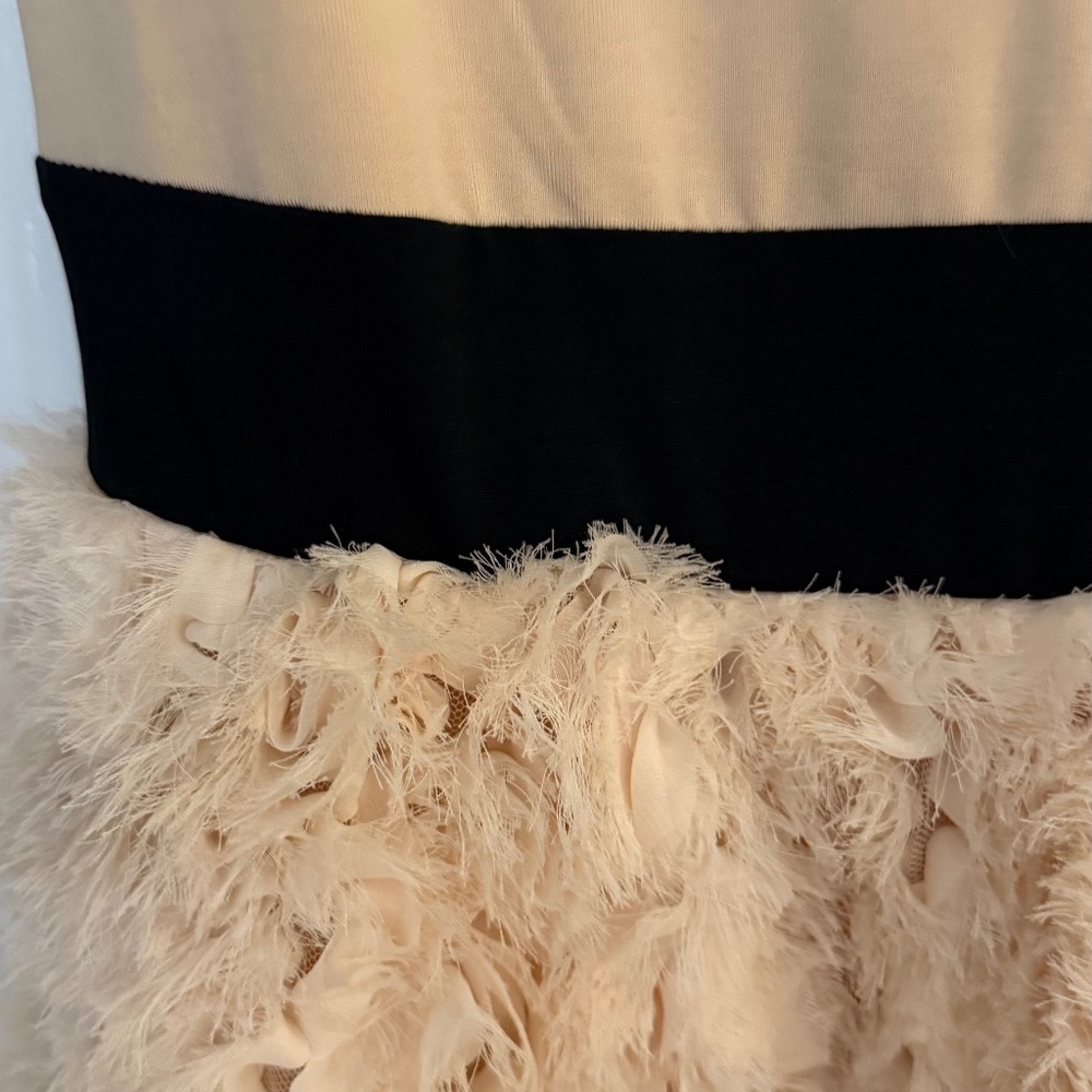 New Zara mini dress